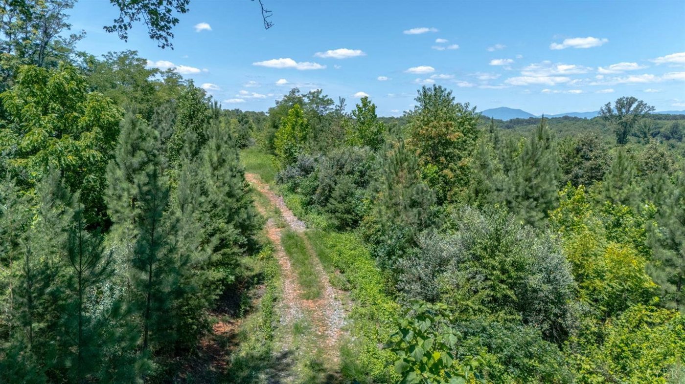 Goggin Ford Road, Bedford, VA 24523